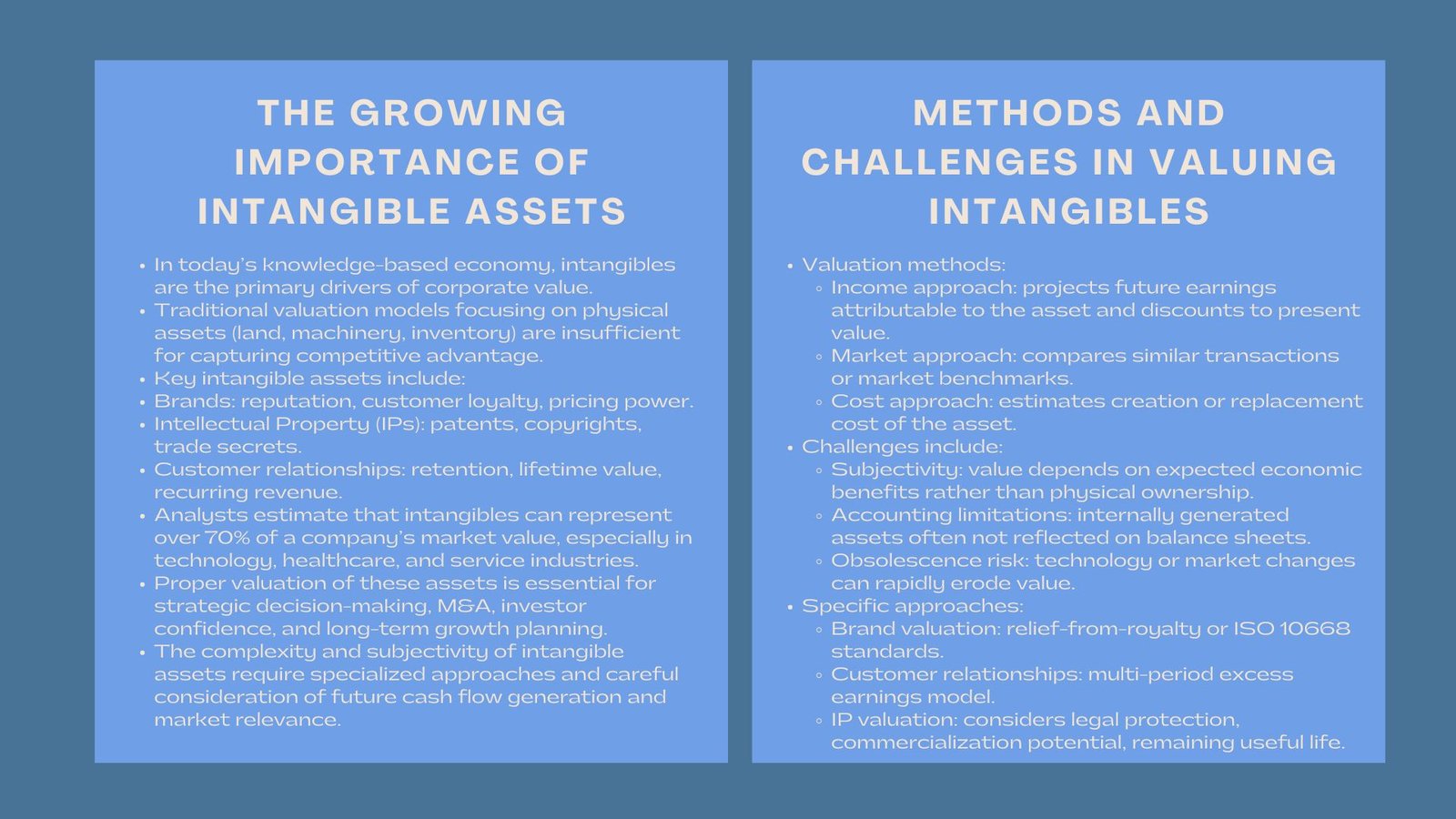 Professional Training on Intangible Company Valuation
